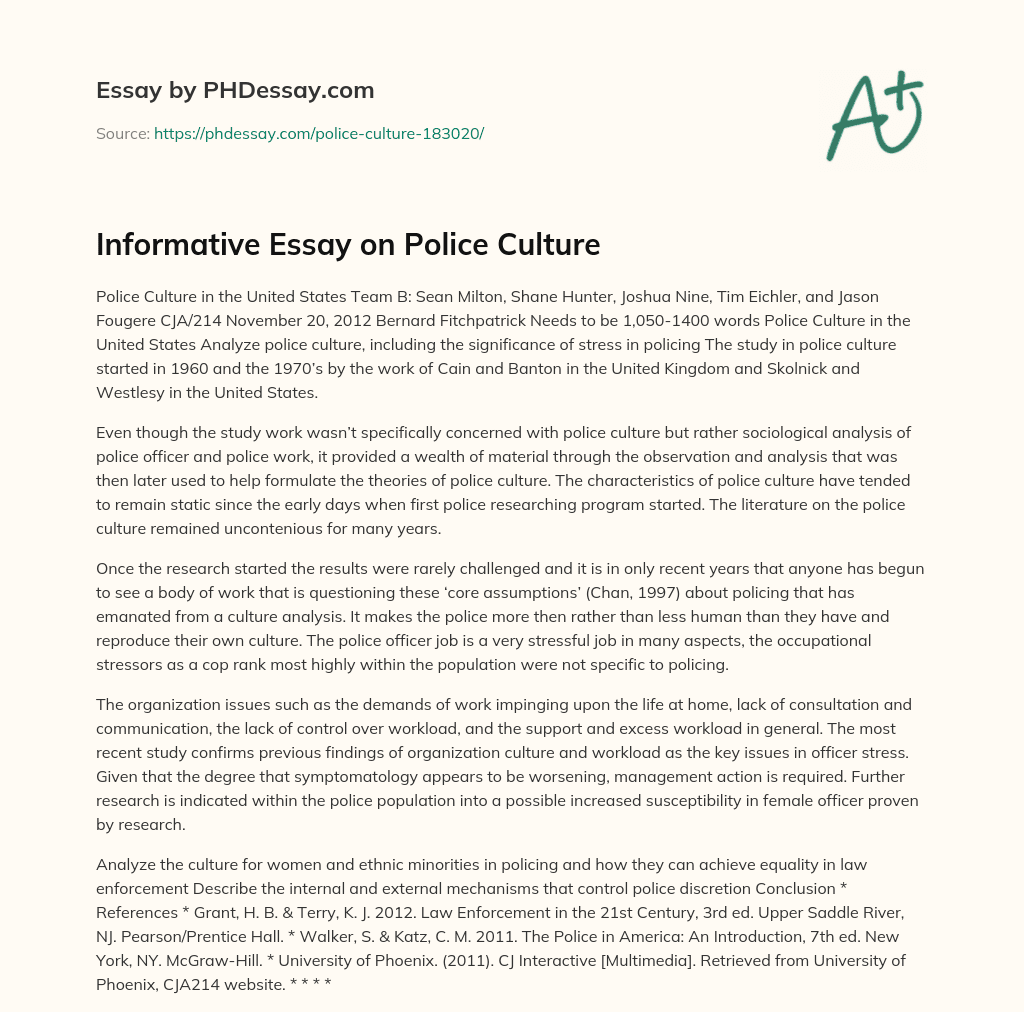 Informative Essay on Police Culture essay