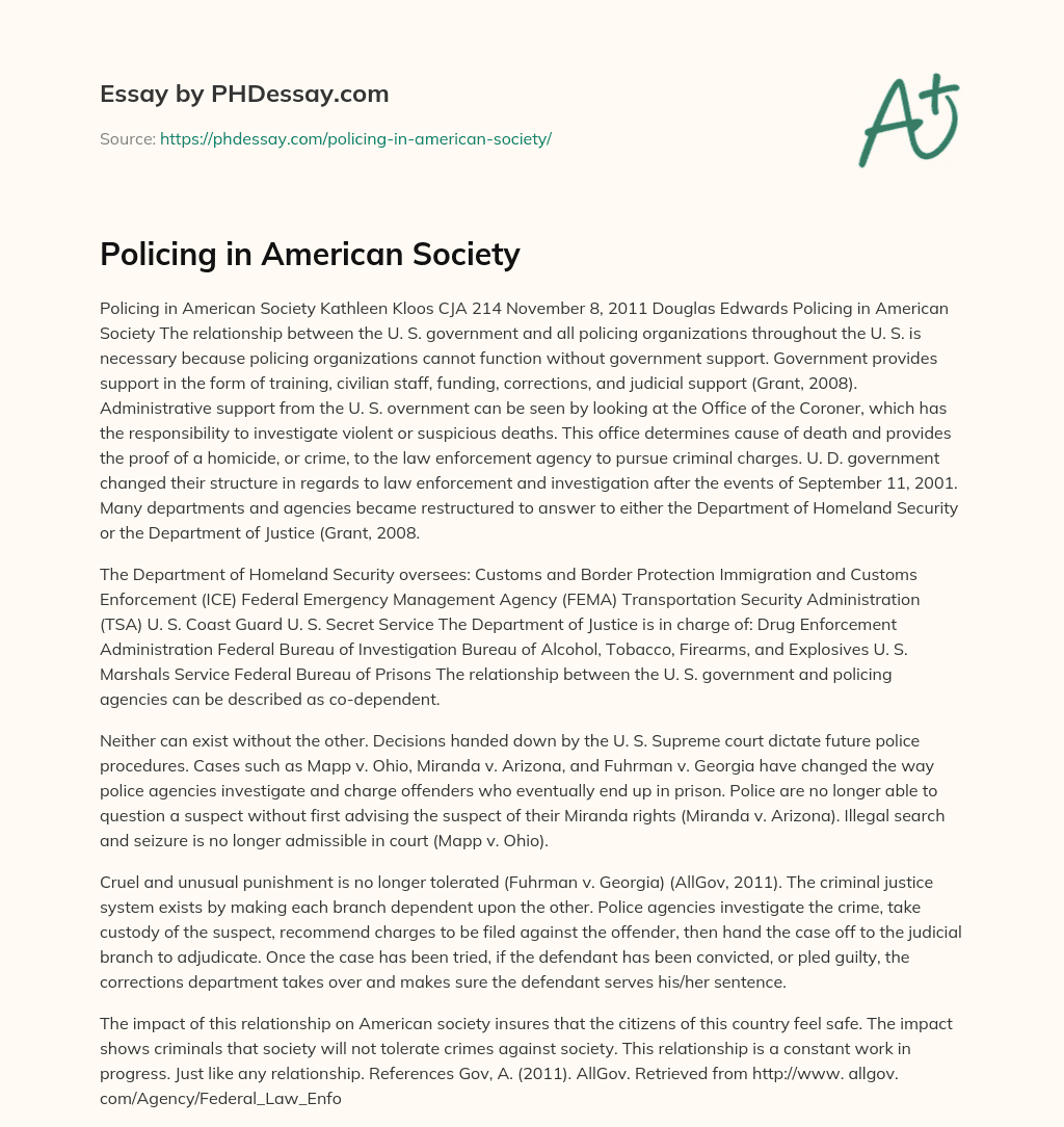 Policing in American Society essay