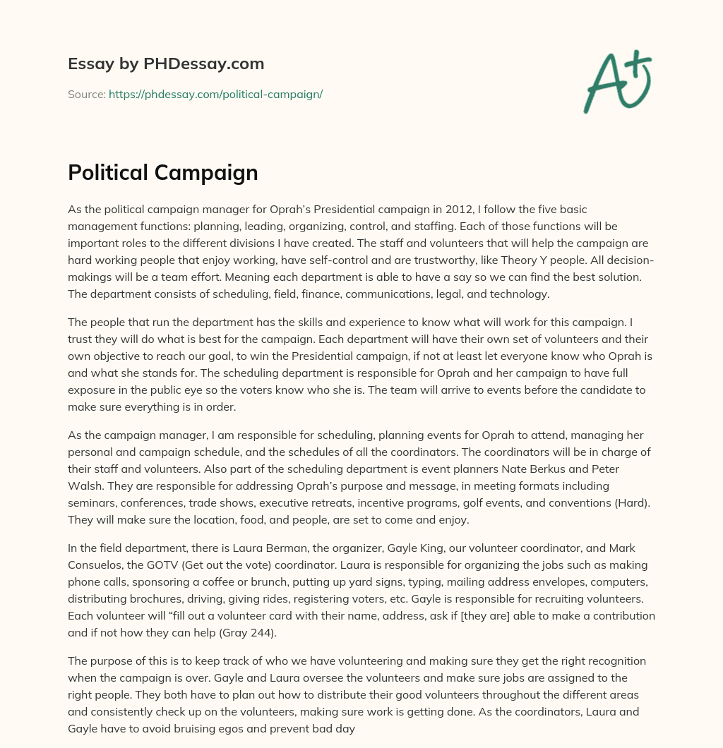 Political Campaign essay