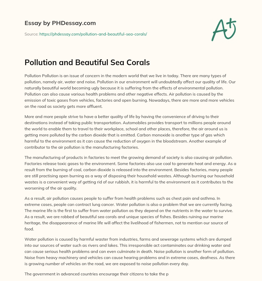 Pollution and Beautiful Sea Corals essay