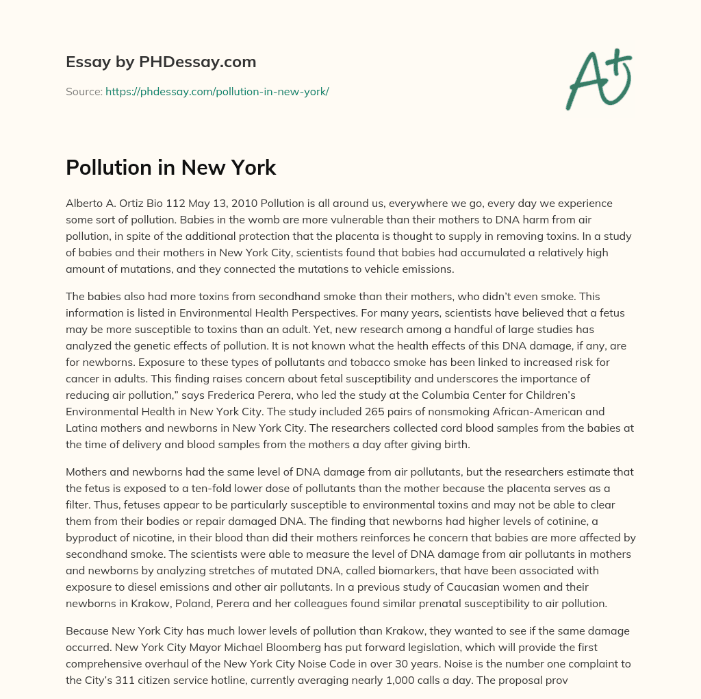 Pollution in New York essay