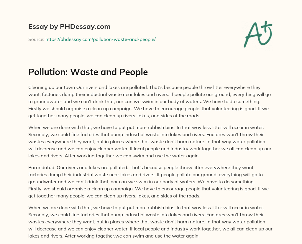 Pollution: Waste and People essay