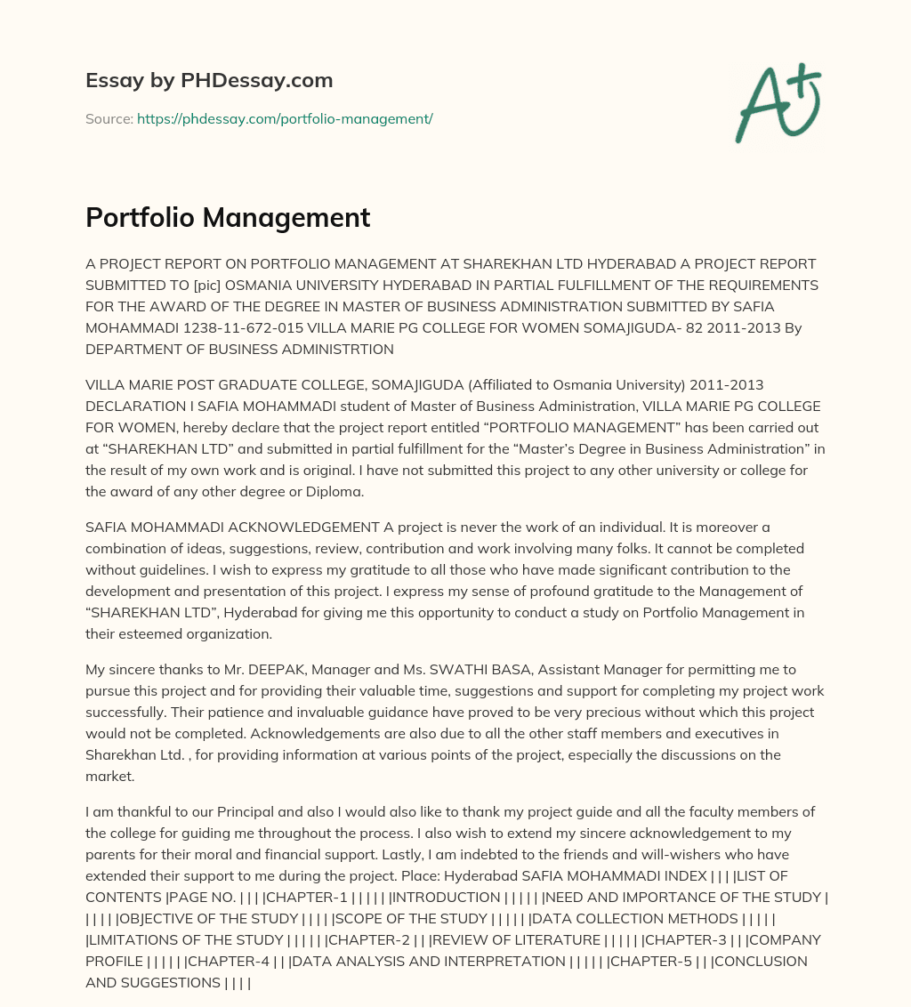 Portfolio Management essay