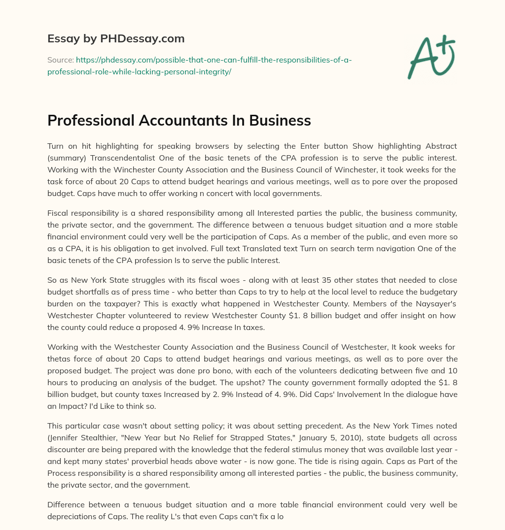 Professional Accountants In Business essay