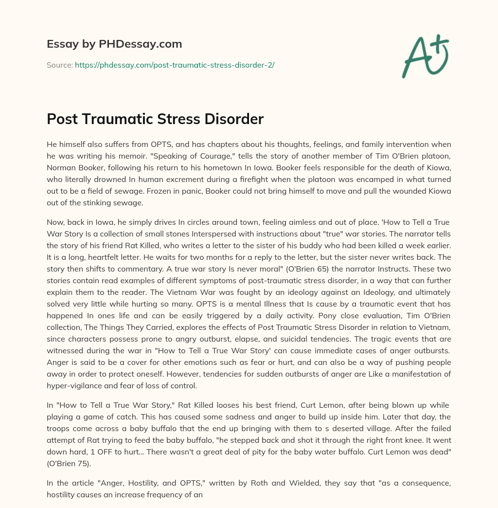 essay on post traumatic stress disorder