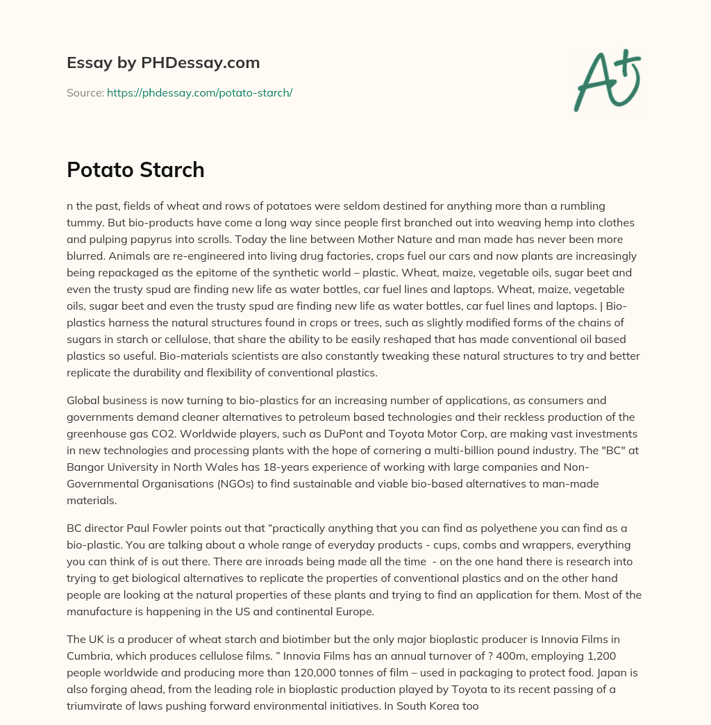Potato Starch essay