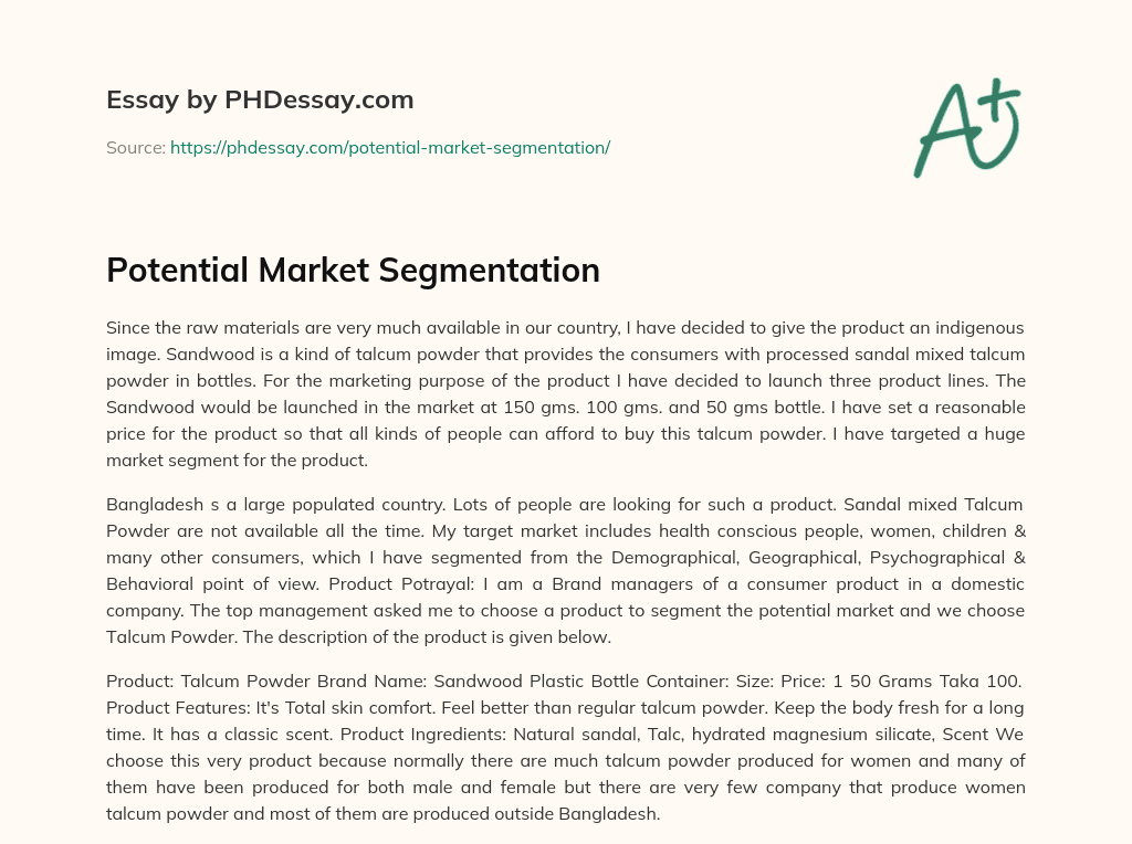 Potential Market Segmentation essay
