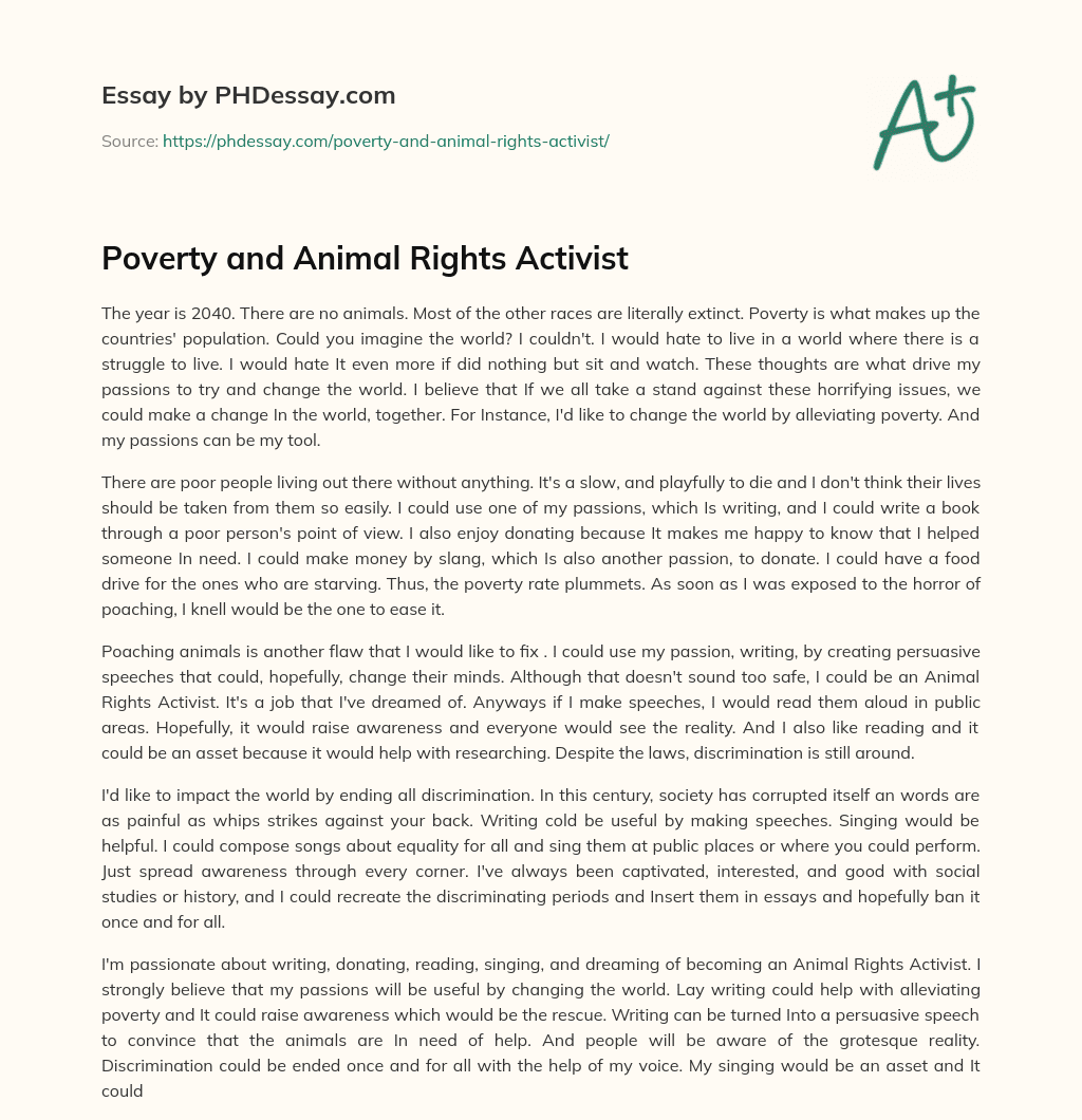Poverty and Animal Rights Activist essay