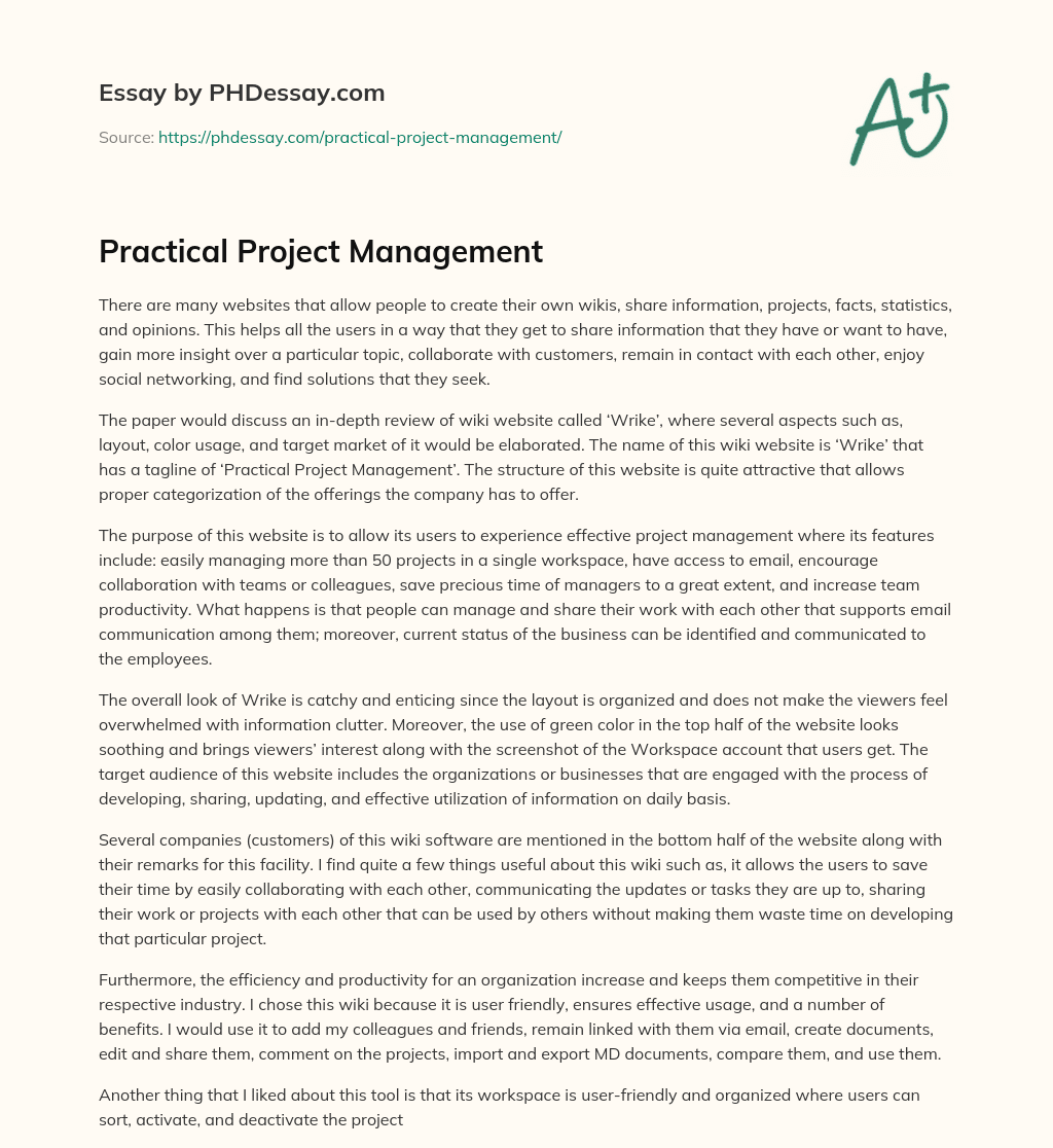 Practical Project Management essay