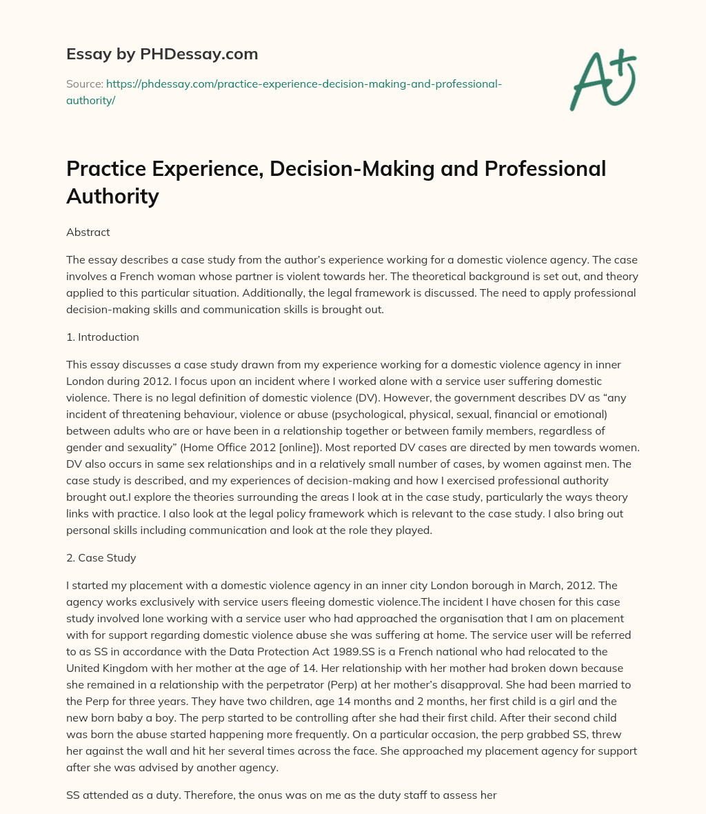 Practice Experience, Decision-Making and Professional Authority essay