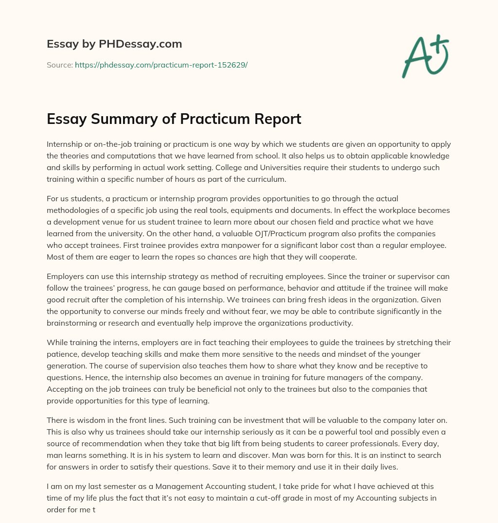 Essay Summary of Practicum Report essay