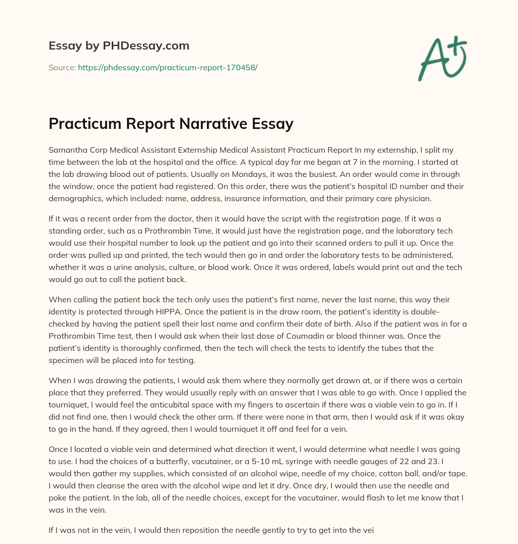 Practicum Report Narrative Essay essay