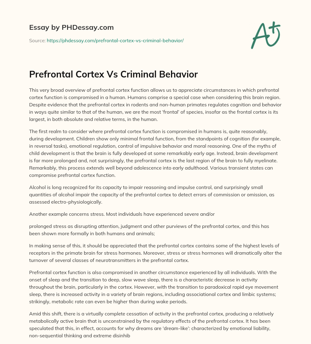 Prefrontal Cortex Vs Criminal Behavior essay