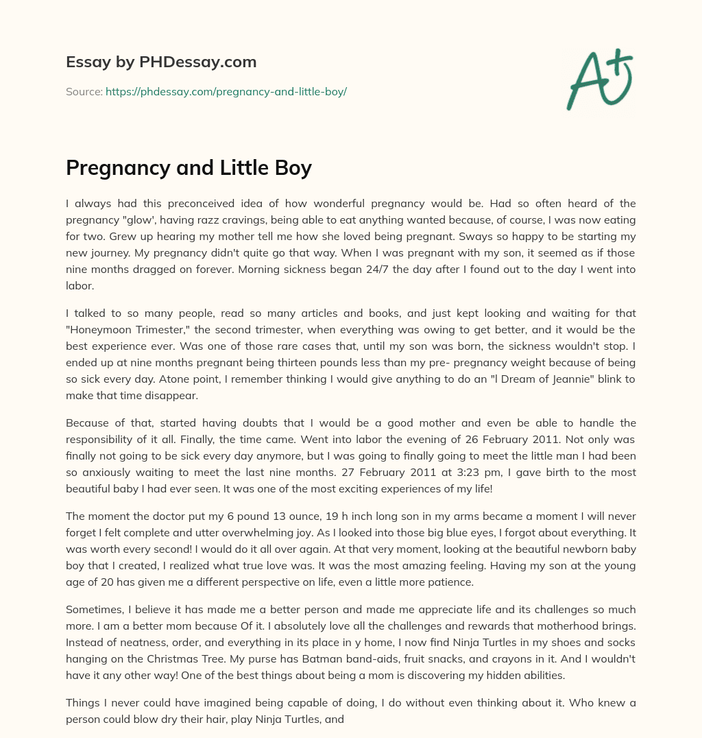 Pregnancy and Little Boy essay