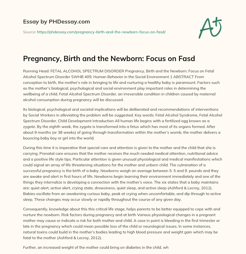 Pregnancy, Birth and the Newborn: Focus on Fasd essay