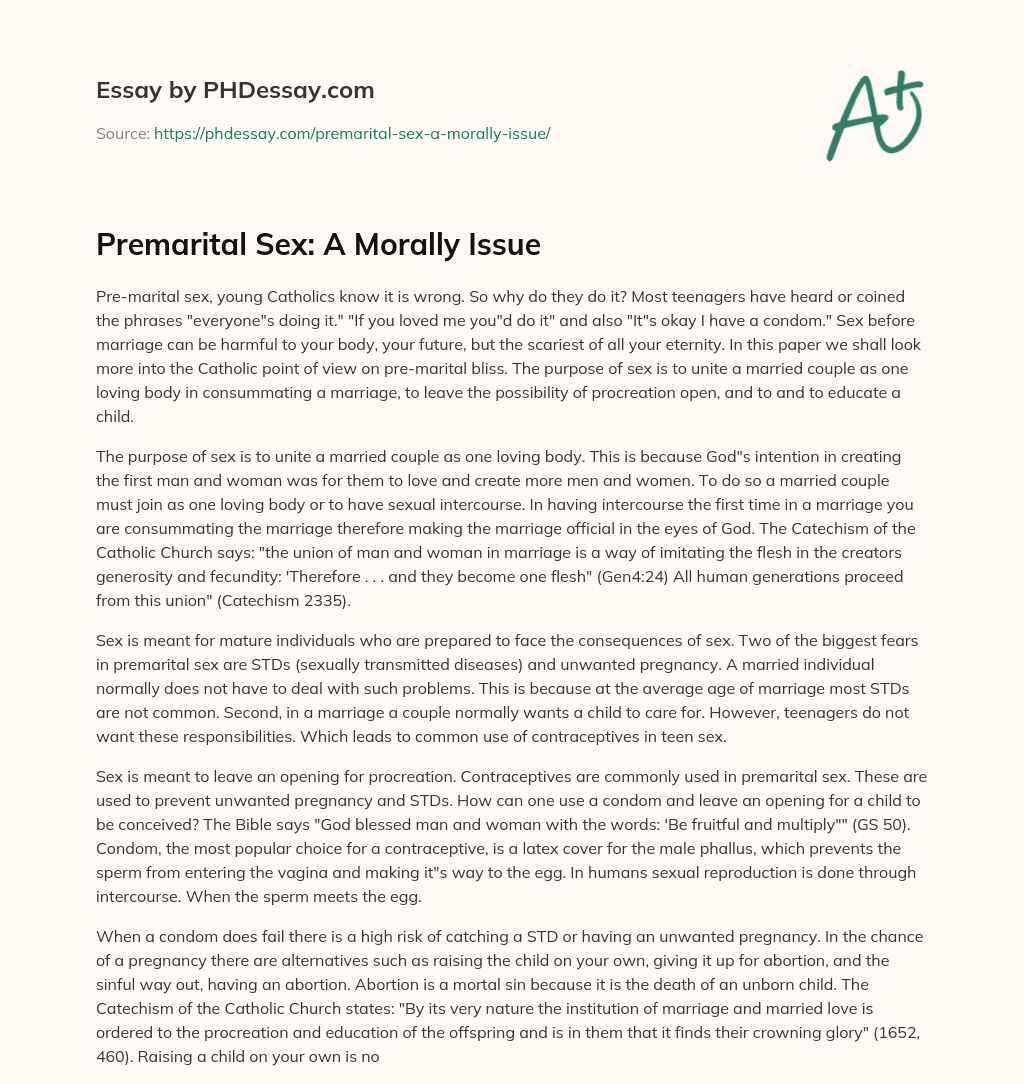Premarital Sex: A Morally Issue essay