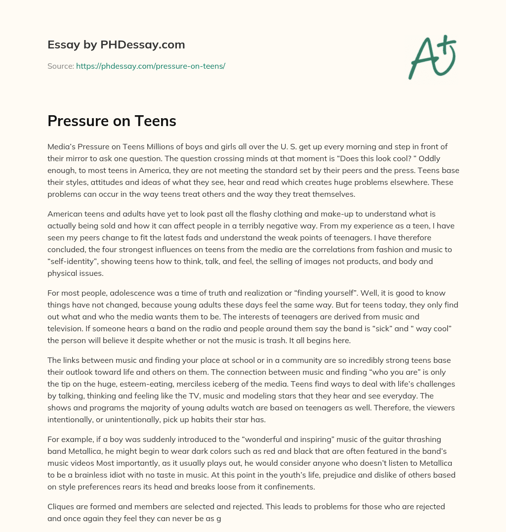Pressure on Teens essay
