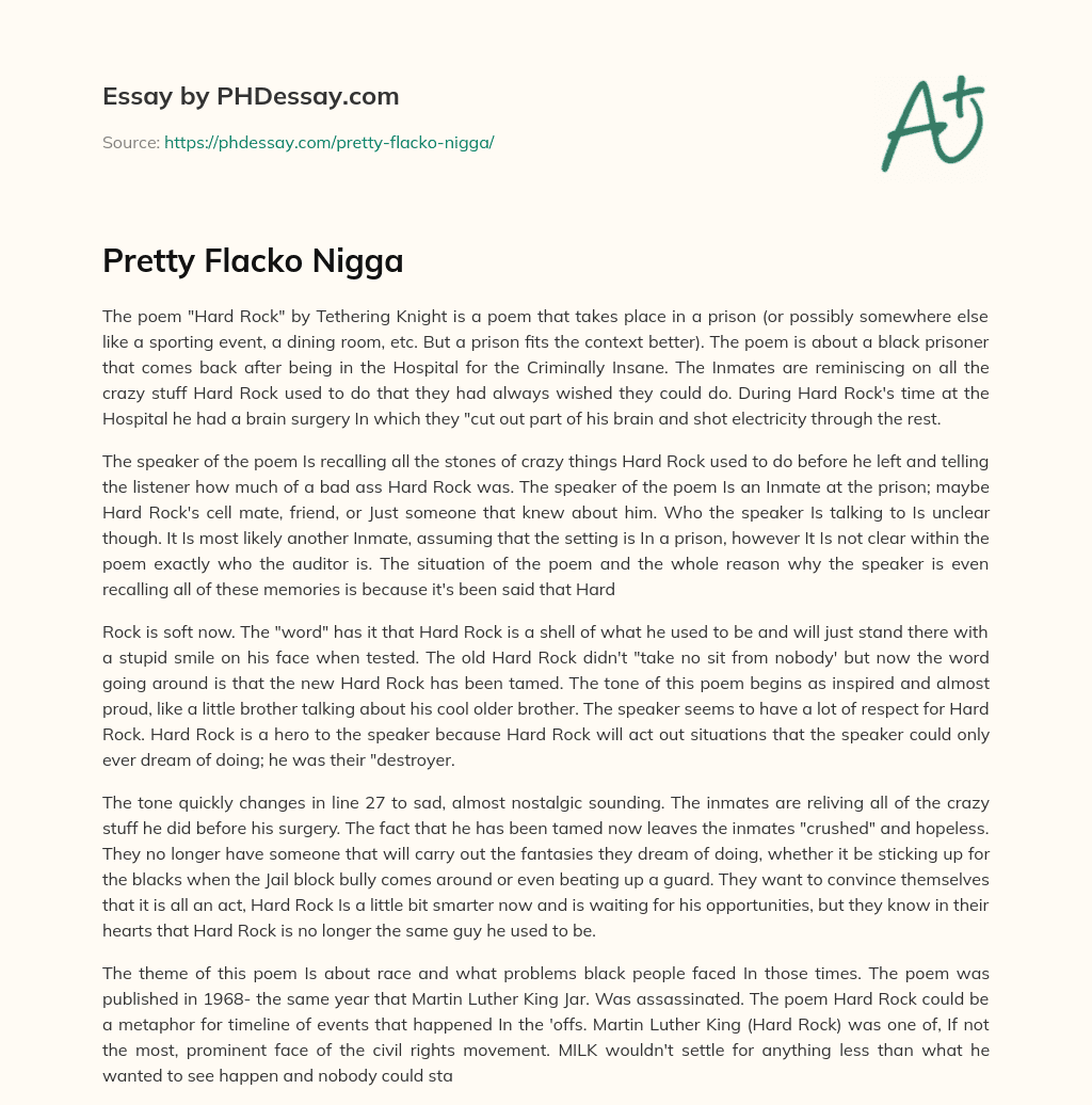Pretty Flacko Nigga essay