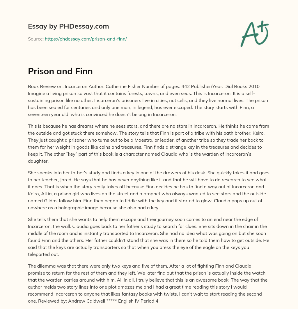 Prison and Finn essay