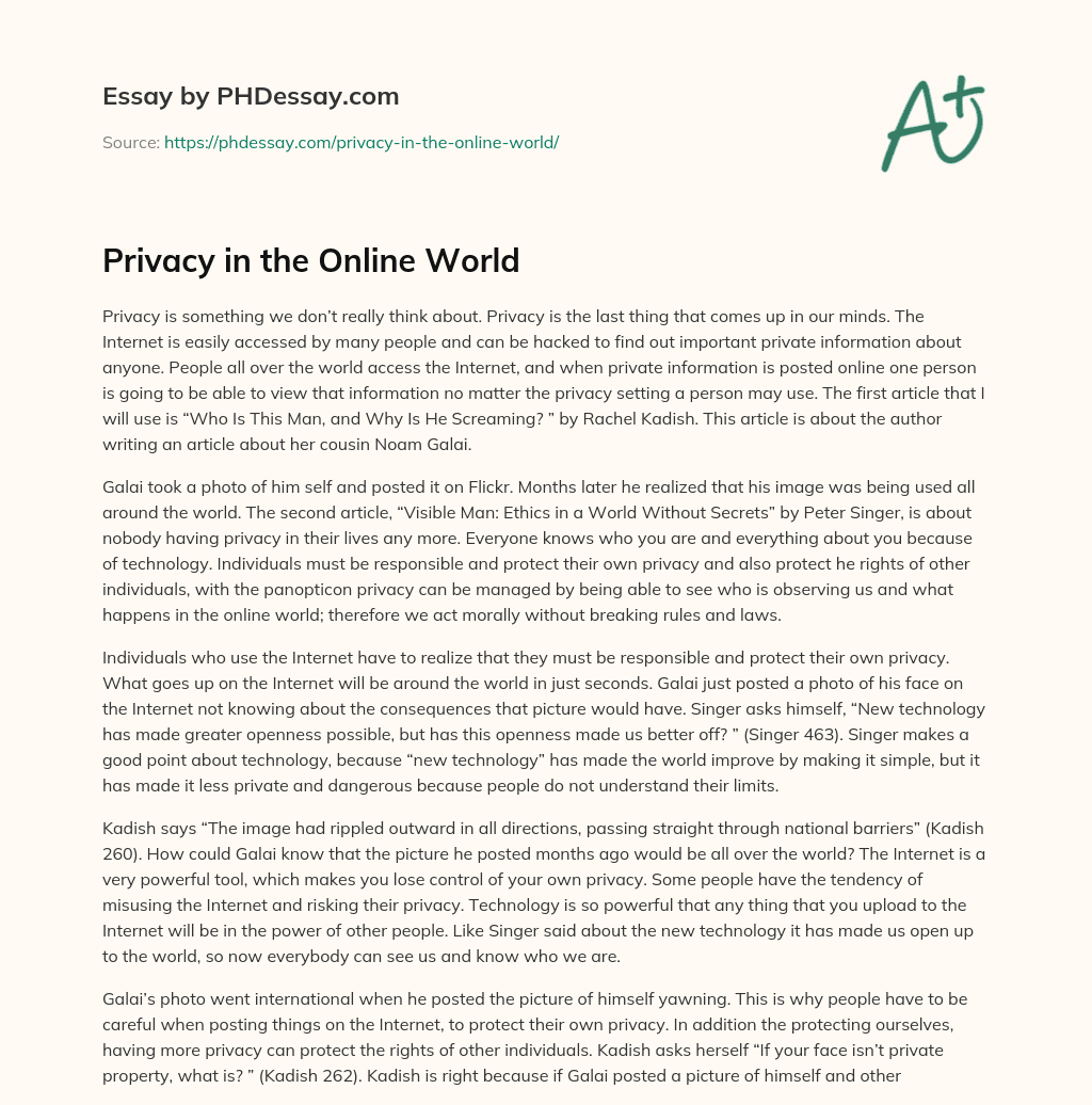 Privacy in the Online World essay