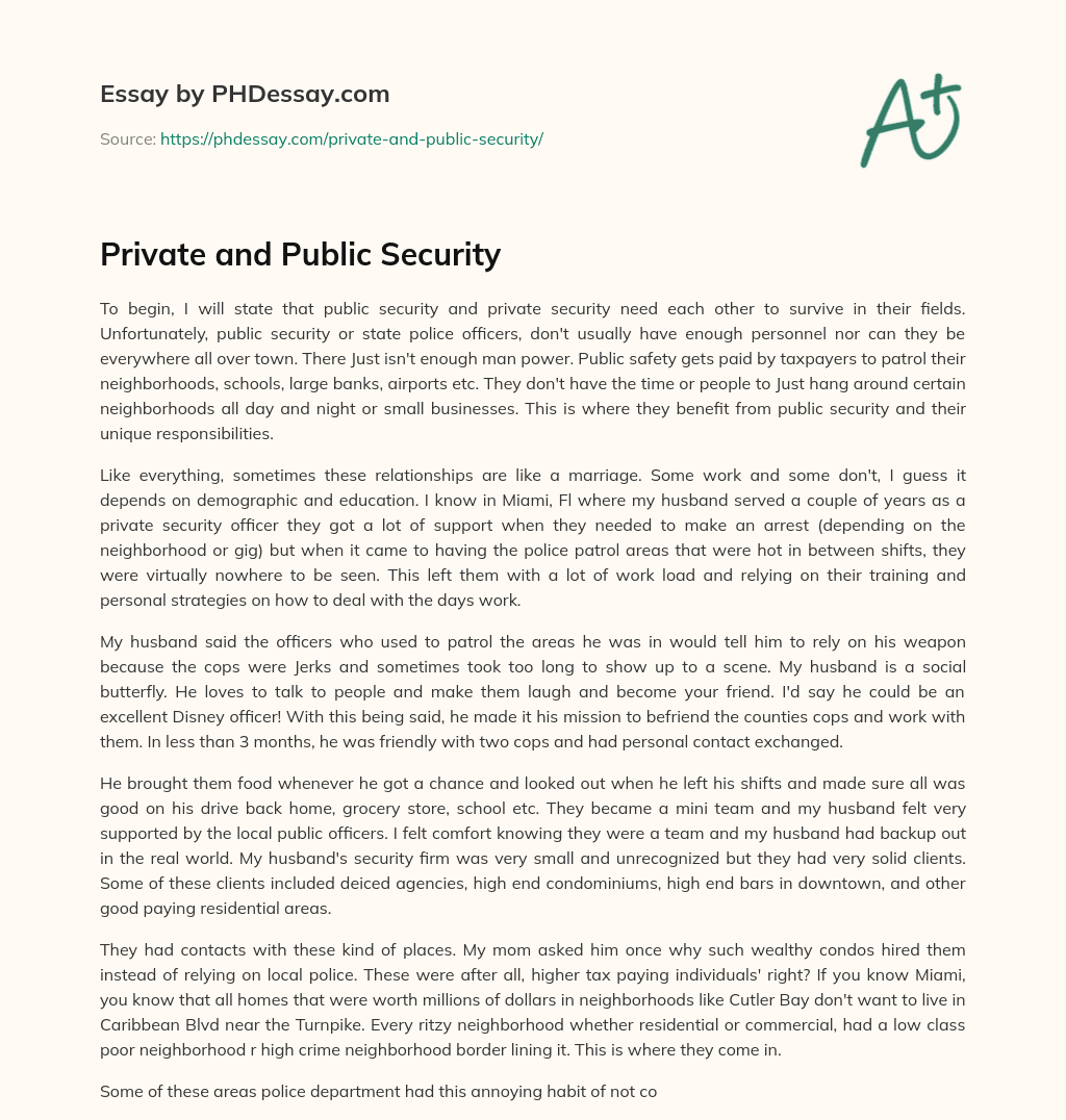 Private and Public Security essay