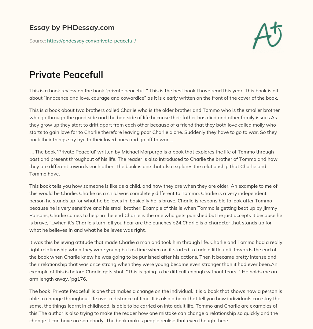 Private Peacefull essay