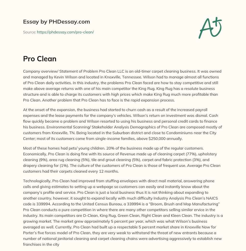 Company Overview: Challenges Faced by Pro Clean LLC in Carpet Cleaning Industry essay