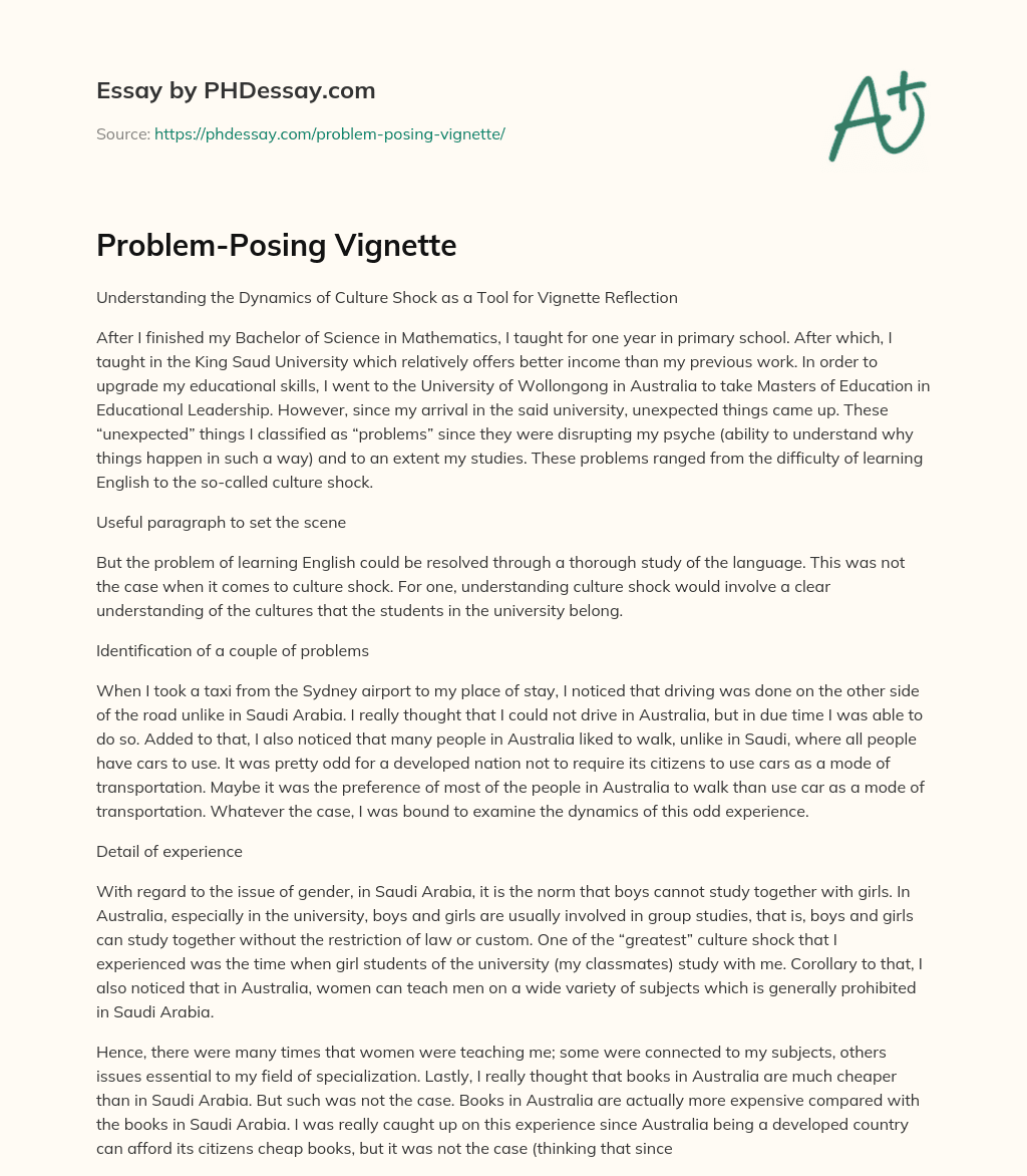 Problem-Posing Vignette essay