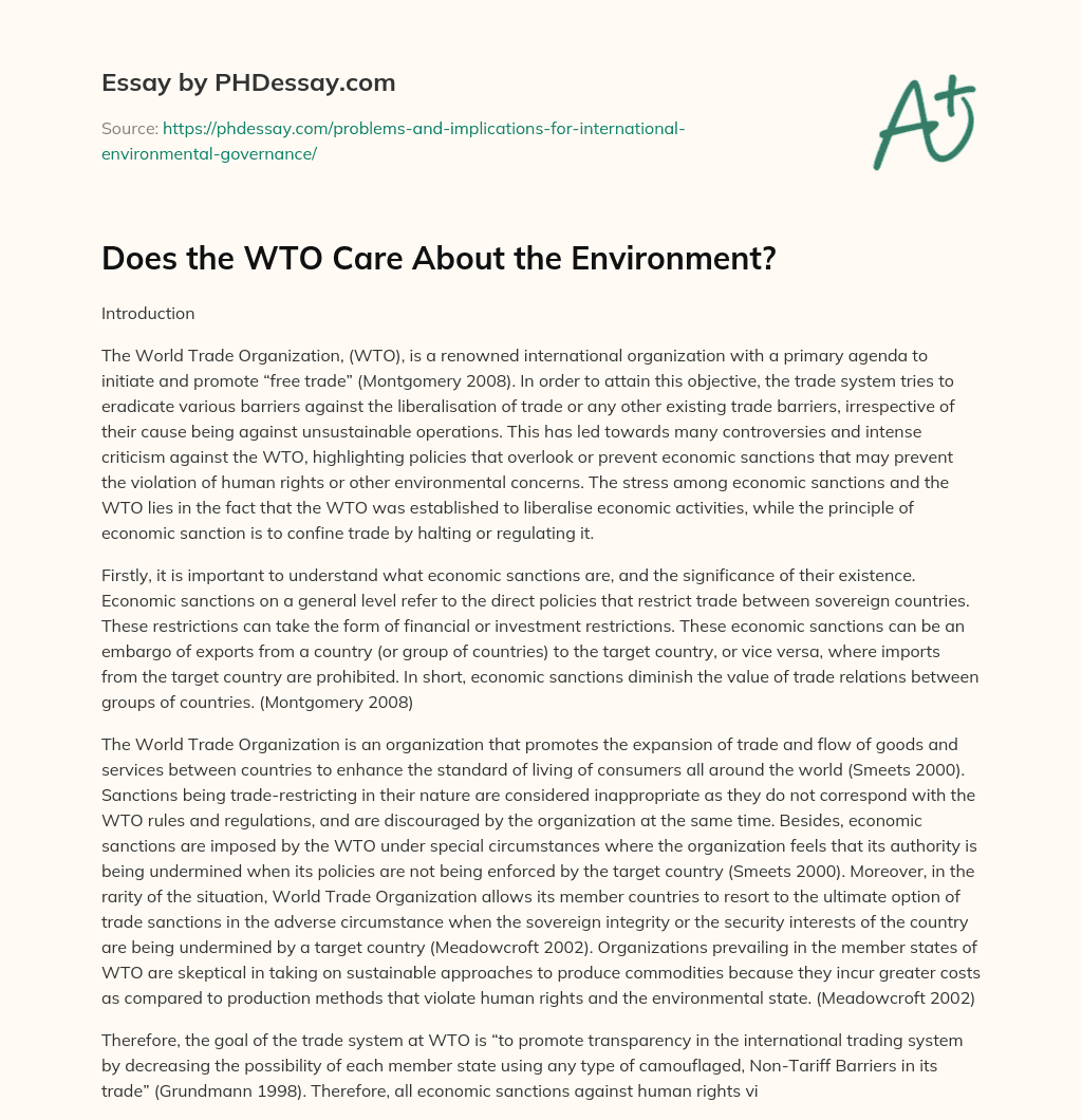 Does the WTO Care About the Environment? essay