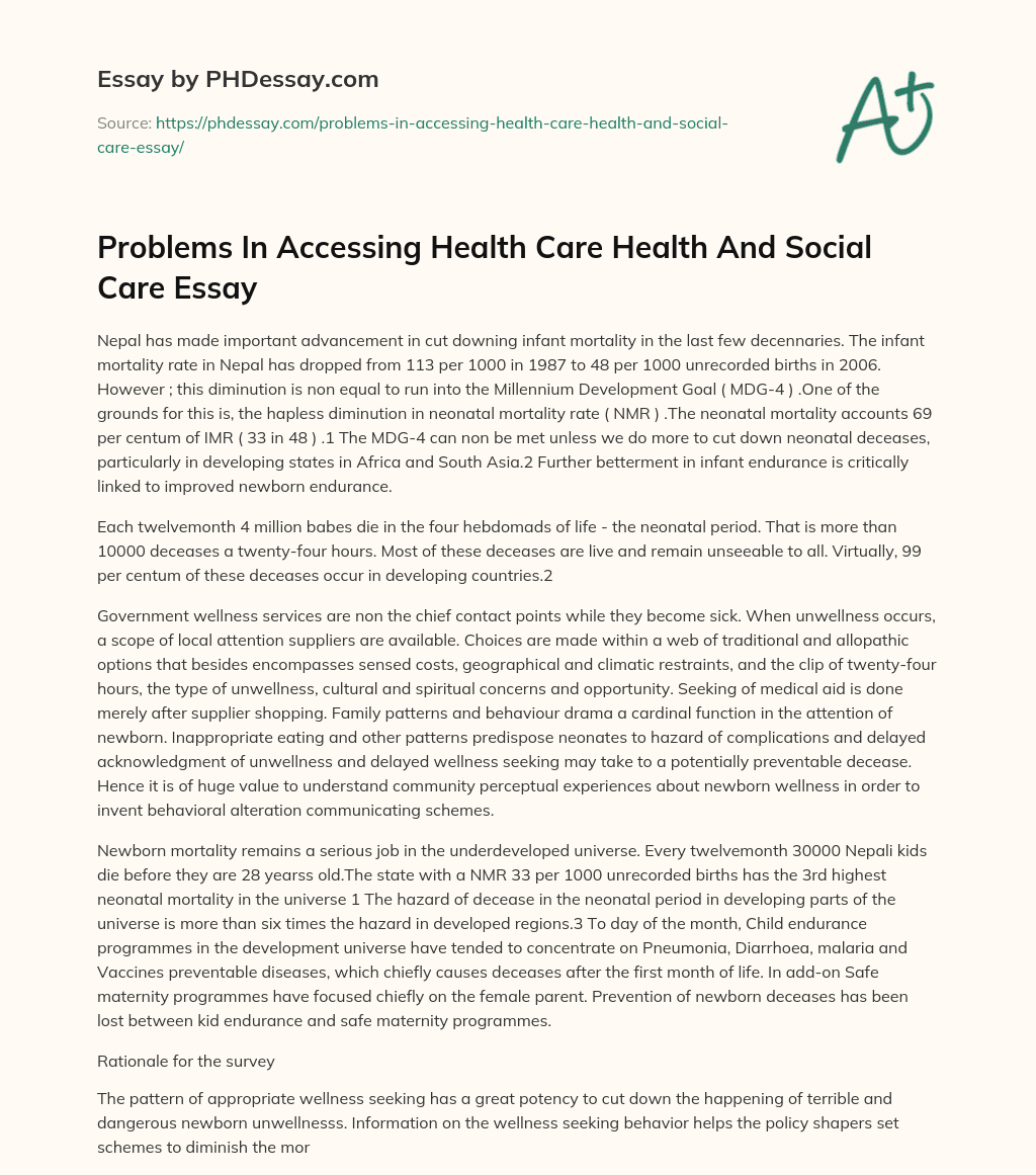 Problems In Accessing Health Care Health And Social Care Essay essay