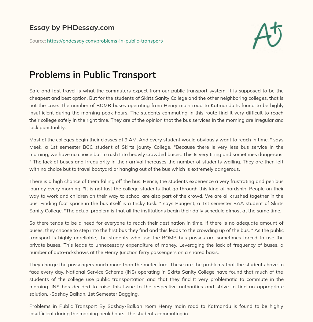 Problems in Public Transport essay