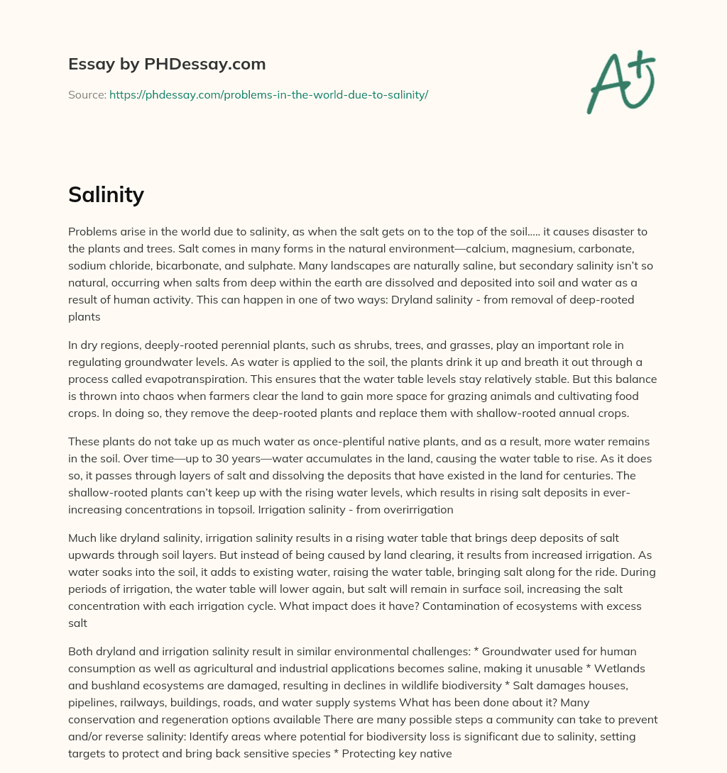 The Dangers of Salinity: How Human Activity is Causing Disaster for Plants and Trees essay