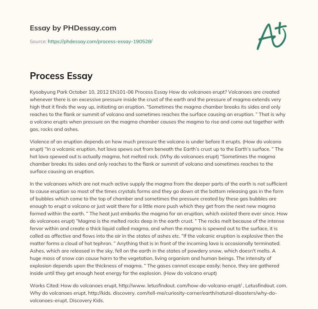 Process Essay essay
