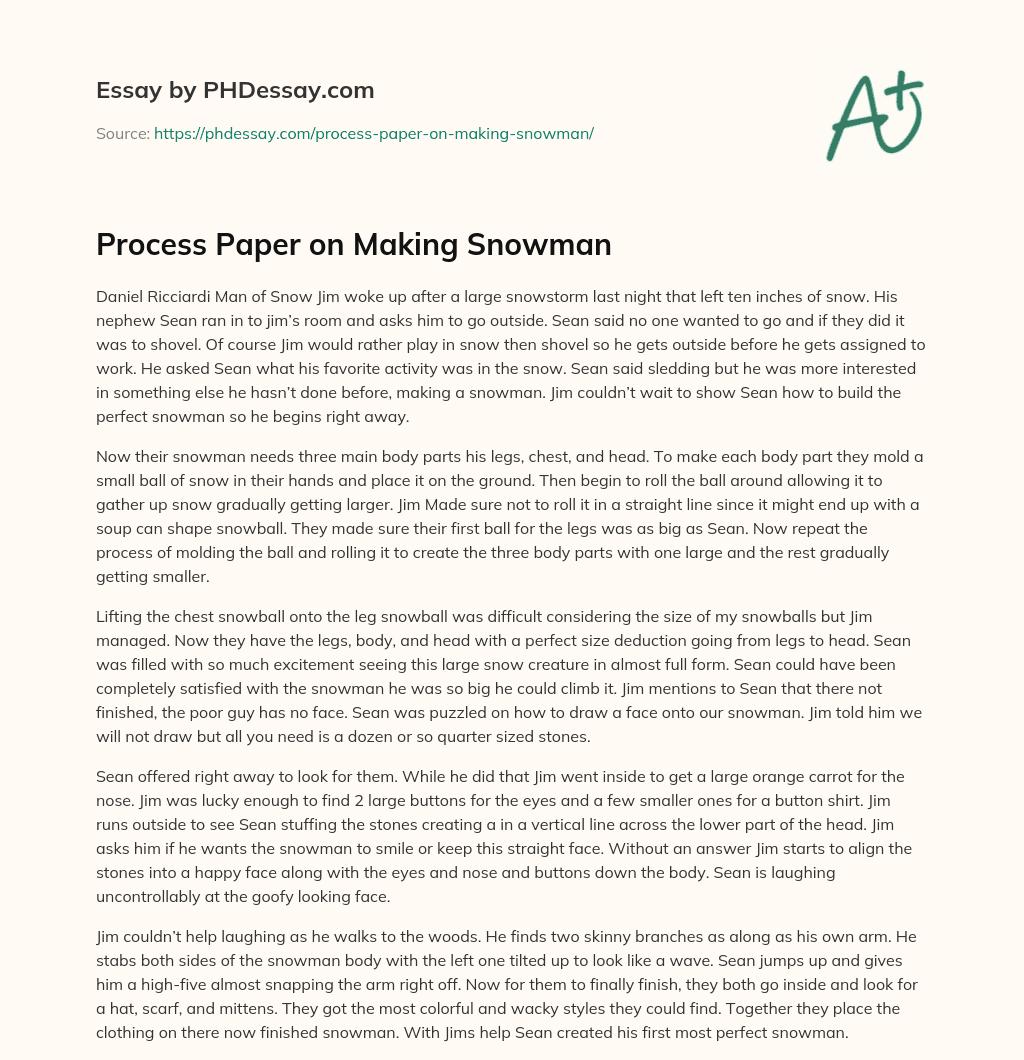 Process Paper on Making Snowman essay
