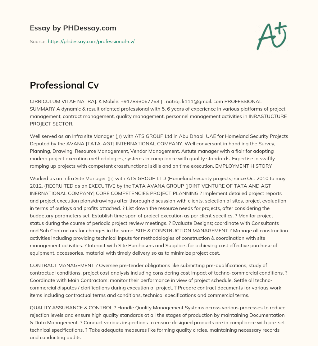 Experienced Infra Site Manager with Project Management and Quality Control Skills in Infrastructure Project Sector essay