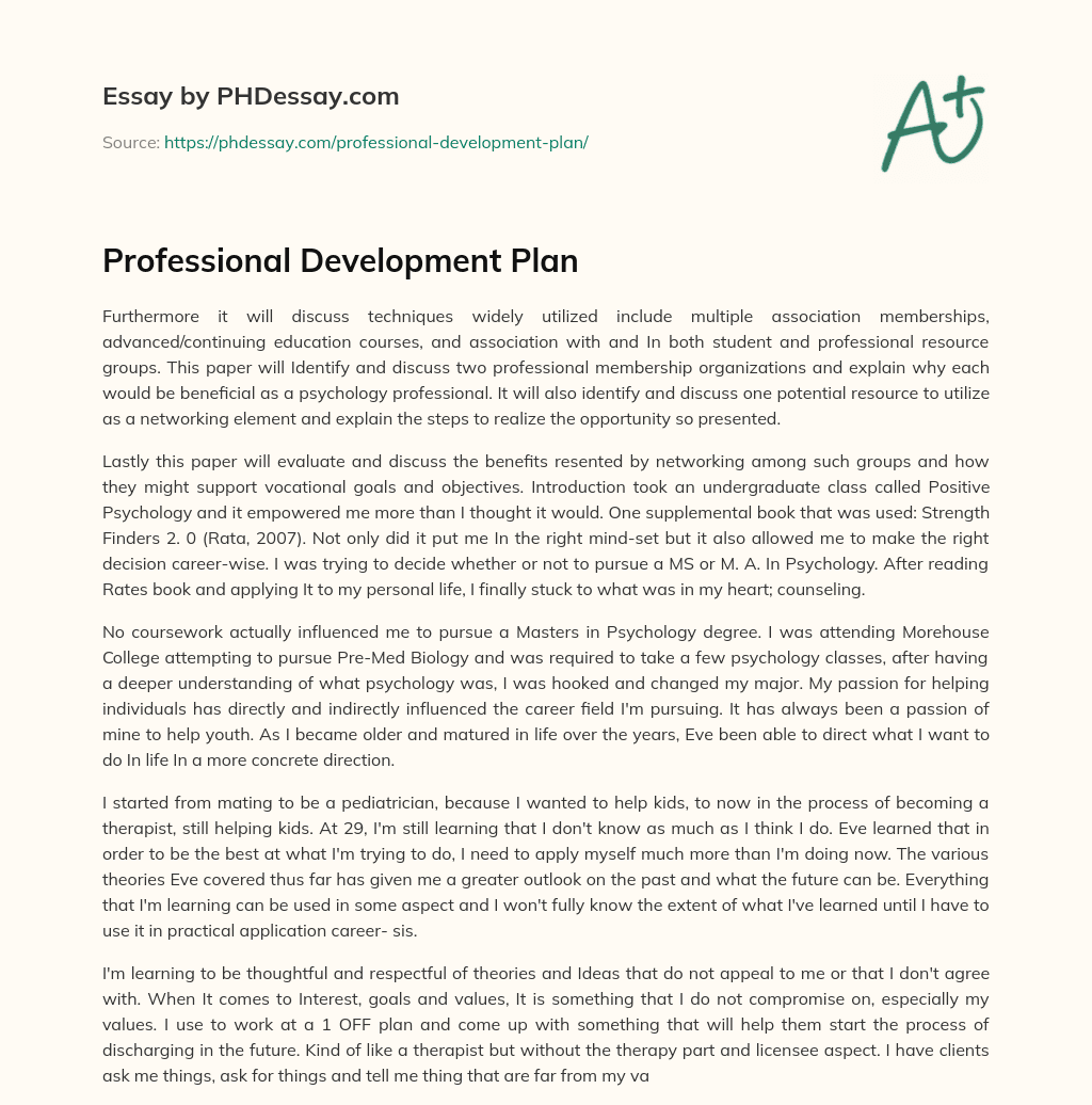 Professional Development Plan essay