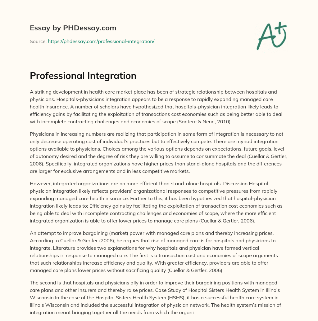 Professional Integration essay