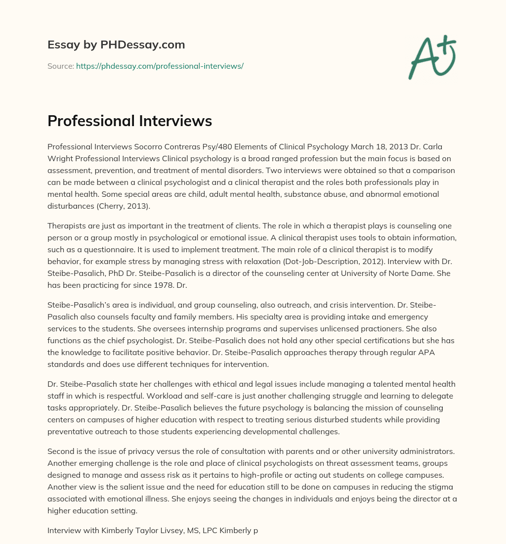 Professional Interviews essay