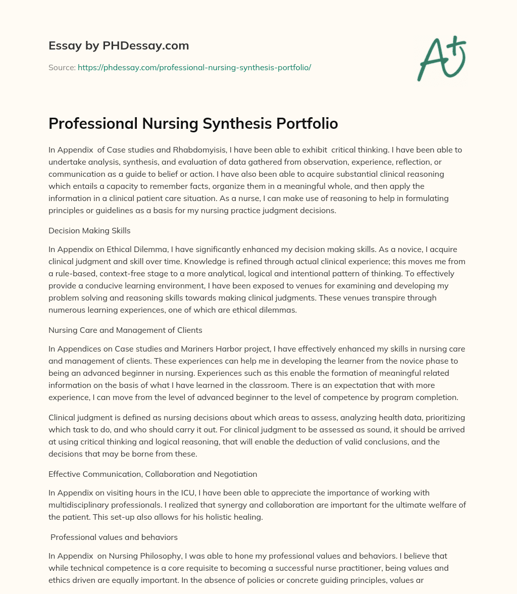 Professional Nursing Synthesis Portfolio Paper Example - PHDessay.com