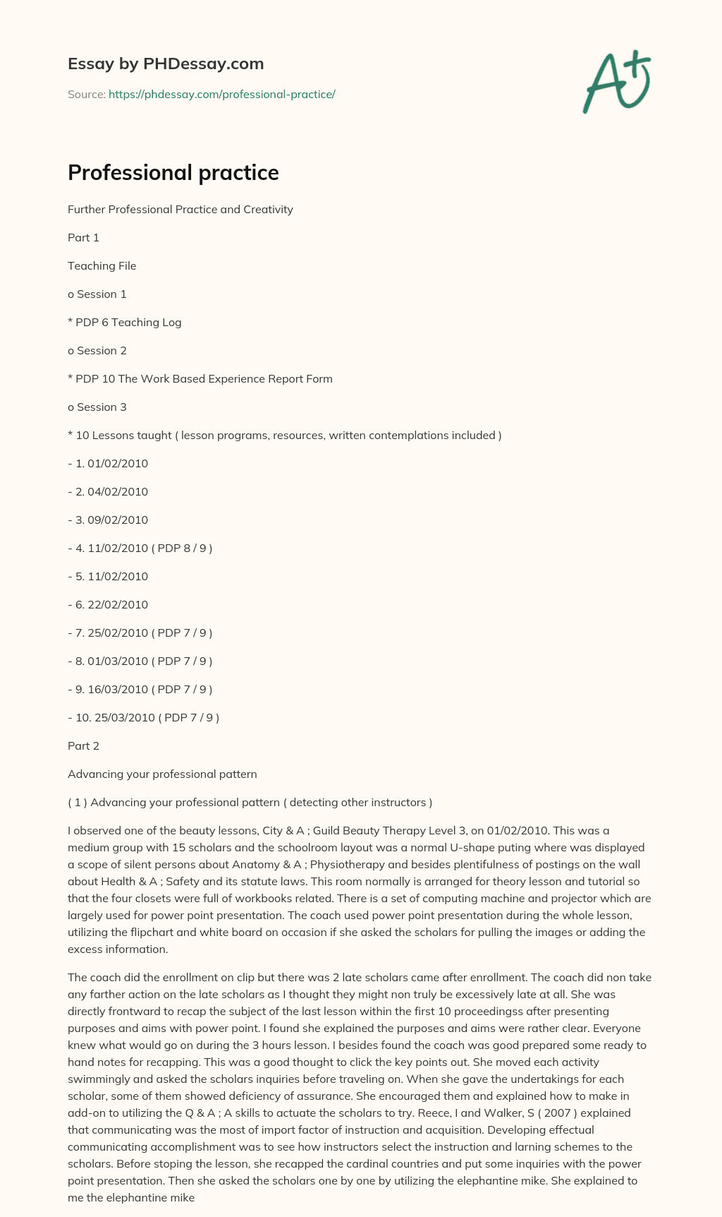 Professional practice essay