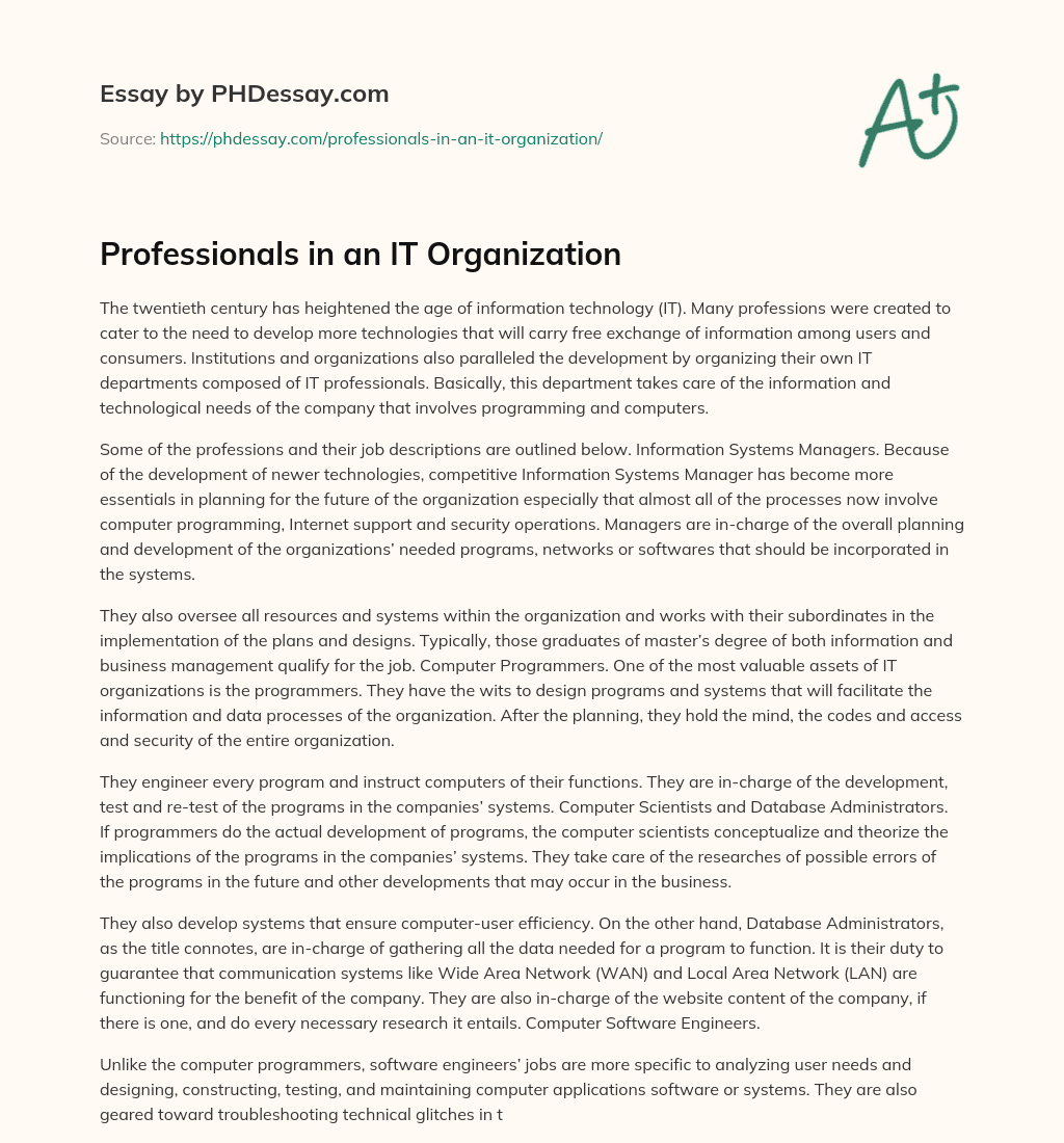 Professionals in an IT Organization essay