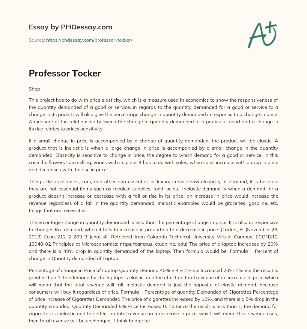 Professor Tocker essay