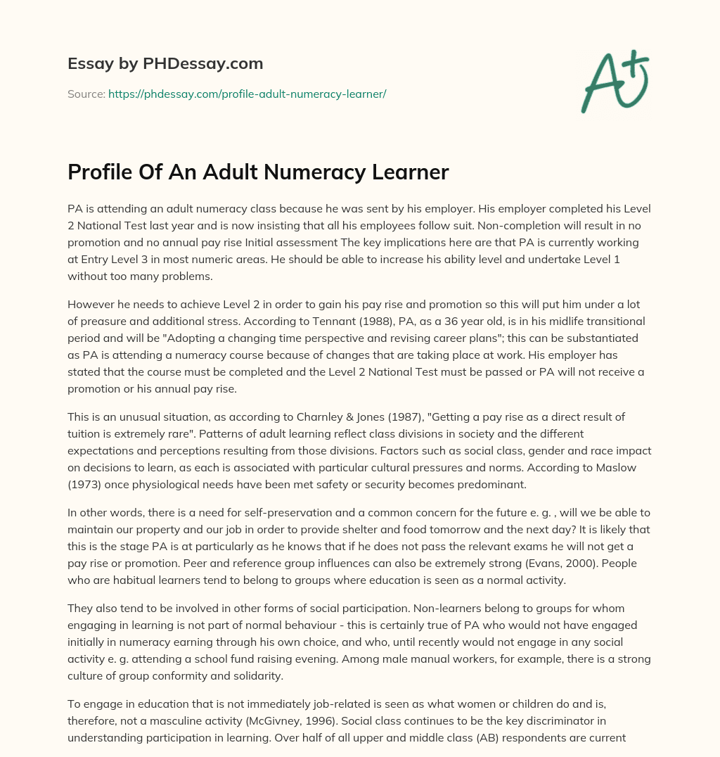 Profile Of An Adult Numeracy Learner essay