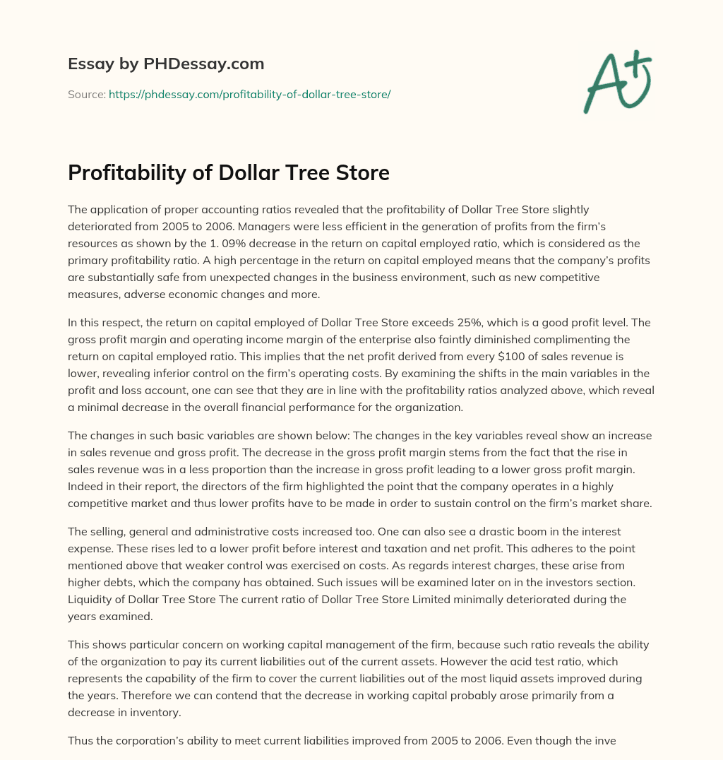 Profitability of Dollar Tree Store essay