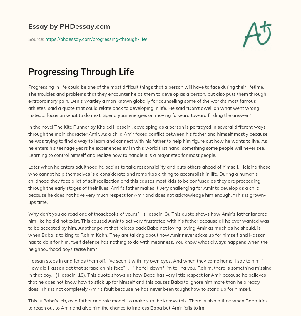 Progressing Through Life essay
