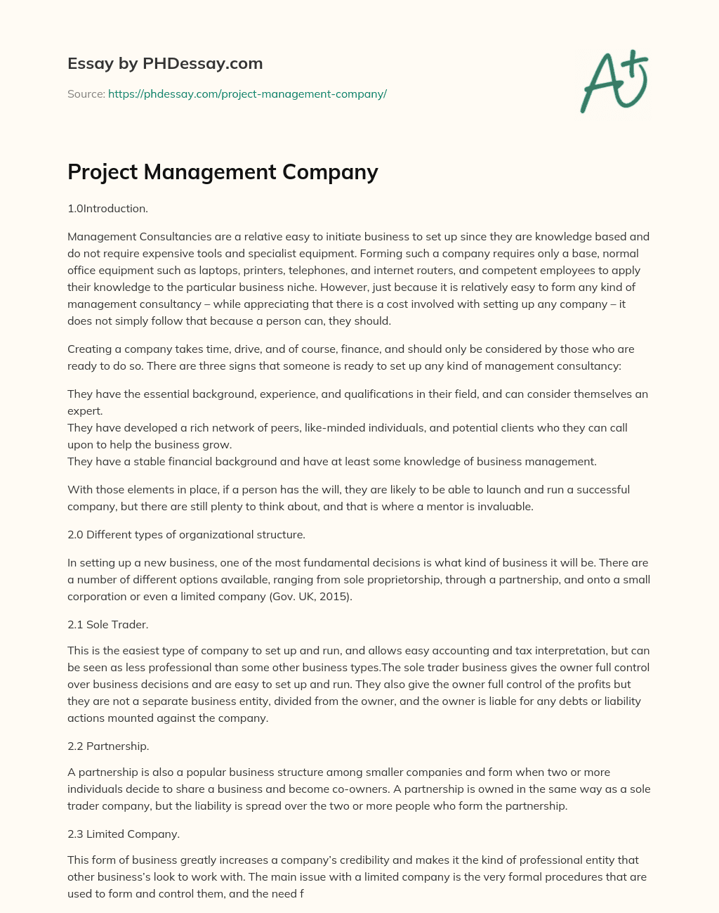Project Management Company essay
