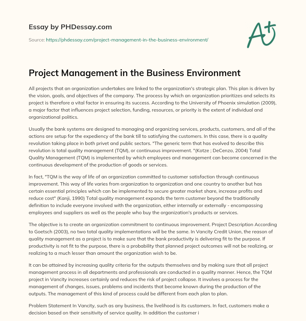 Project Management in the Business Environment essay