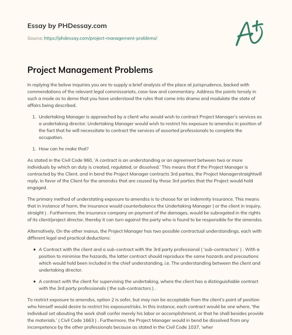 Project Management Problems essay
