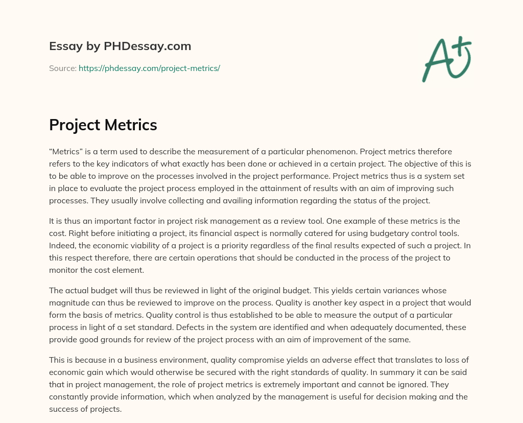 Project Metrics essay