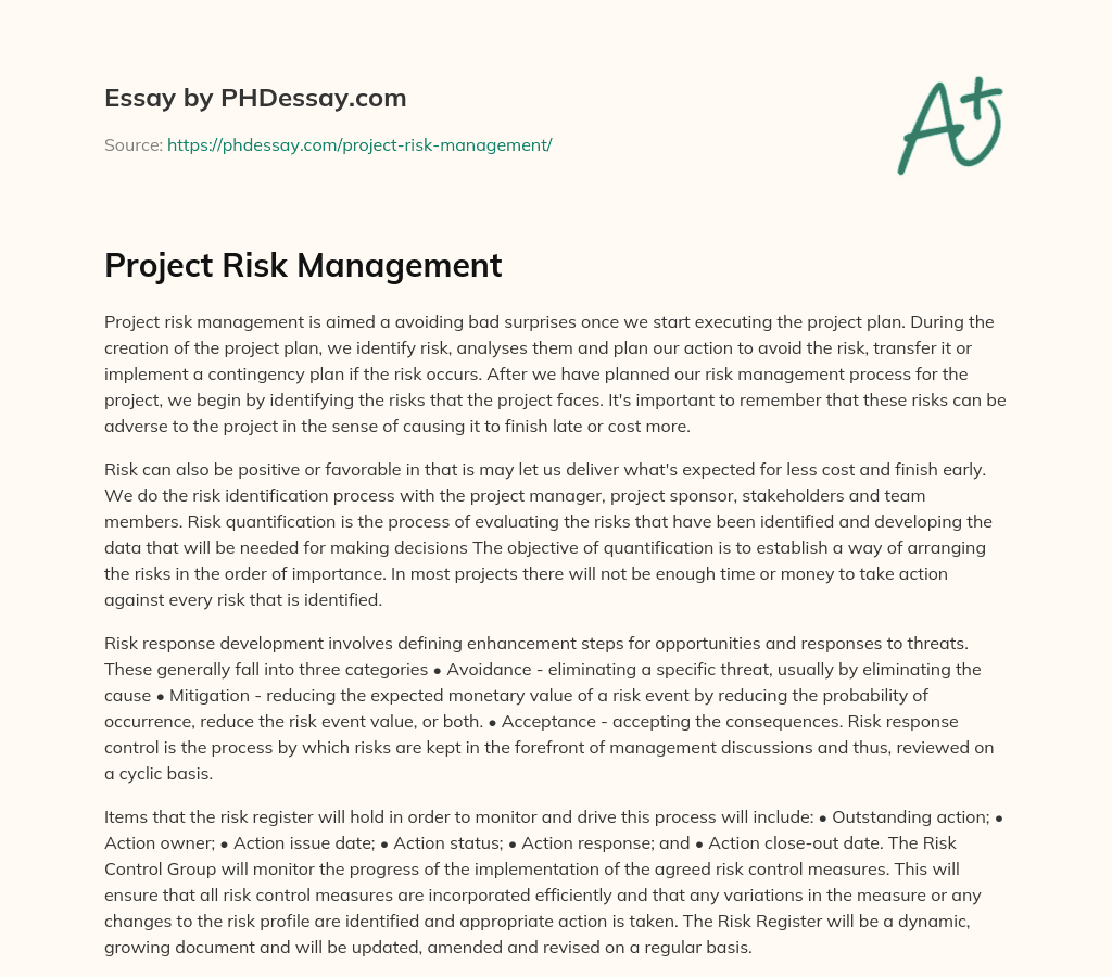 Project Risk Management essay